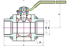 S S Ball Valves 3pc - SE