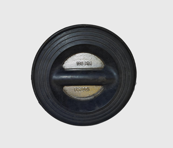 Dual Plate Check Valve