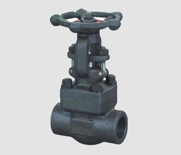 Forged Steel Gate Valve