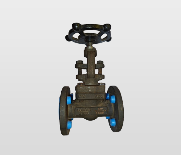 Forged Steel Gate Valve Flange End