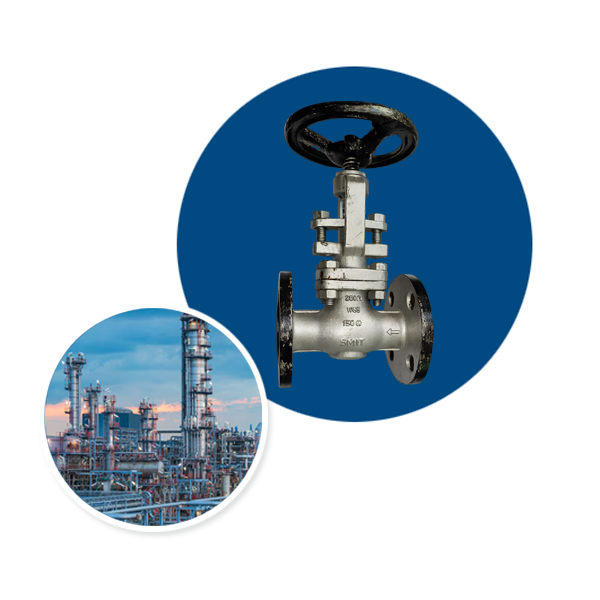 Globe Valve