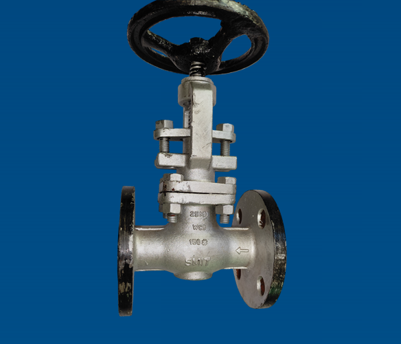 Globe valve