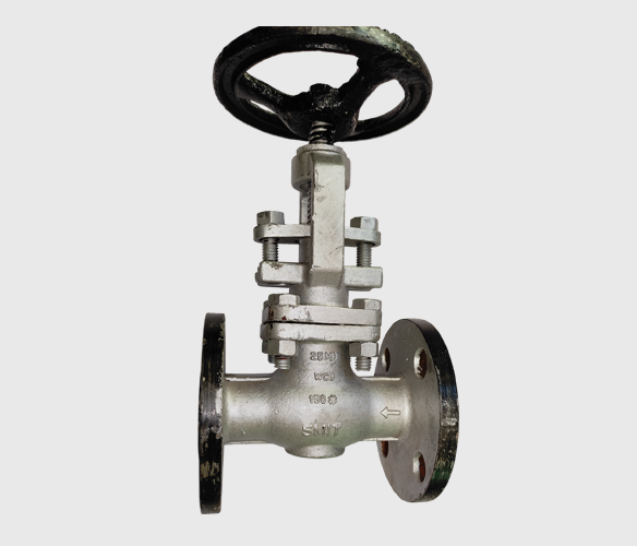 Cast Steel Globe Valves
